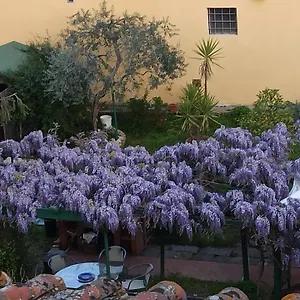  Apartment La Tinaia Italien